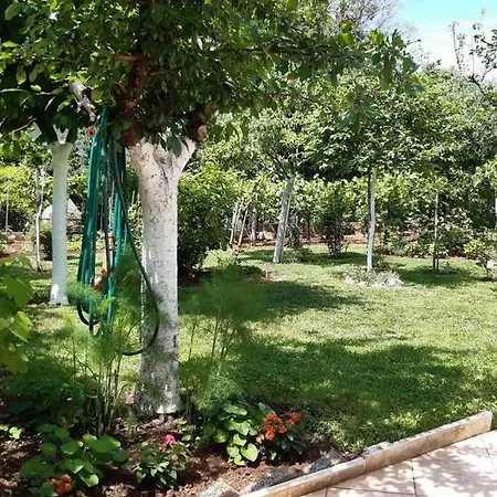 Apartamento Sunny Apt Krk 800mt From Sea *