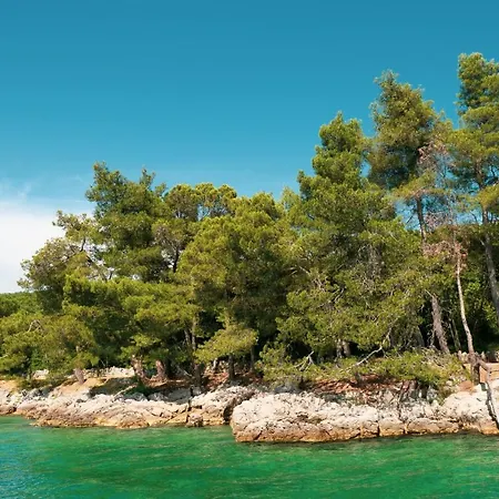 Sunny Apt Krk 800mt From Sea *