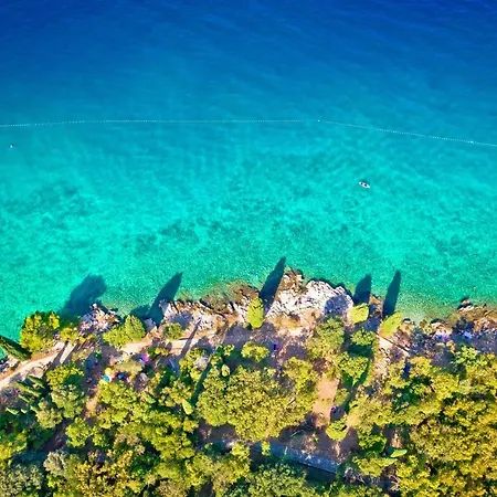 Sunny Apt Krk 800mt From Sea *